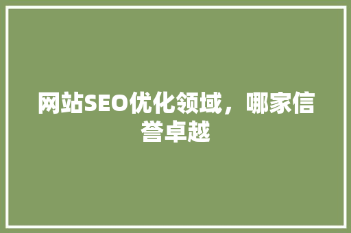 网站SEO优化领域，哪家信誉卓越  第1张