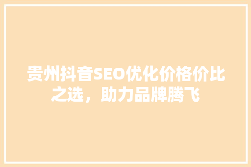 贵州抖音SEO优化价格价比之选，助力品牌腾飞