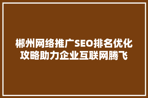 郴州网络推广SEO排名优化攻略助力企业互联网腾飞