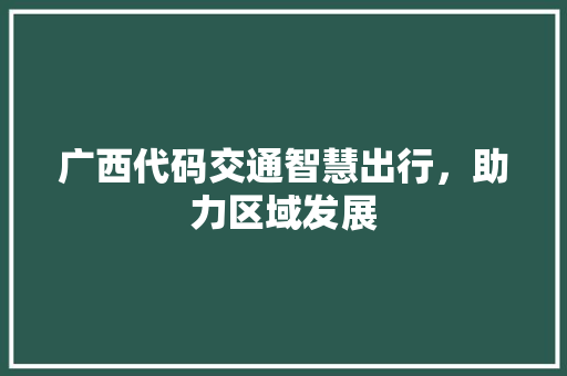 广西代码交通智慧出行，助力区域发展