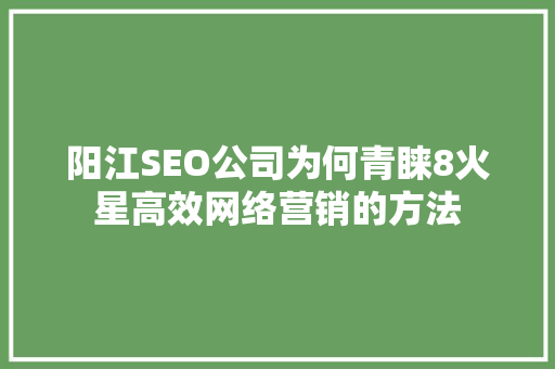 阳江SEO公司为何青睐8火星高效网络营销的方法