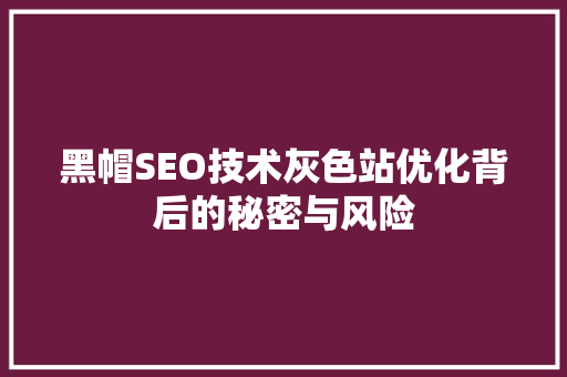 黑帽SEO技术灰色站优化背后的秘密与风险