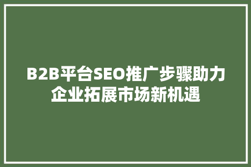 B2B平台SEO推广步骤助力企业拓展市场新机遇