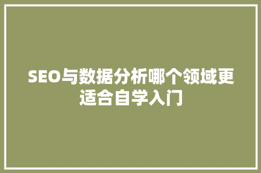 SEO与数据分析哪个领域更适合自学入门