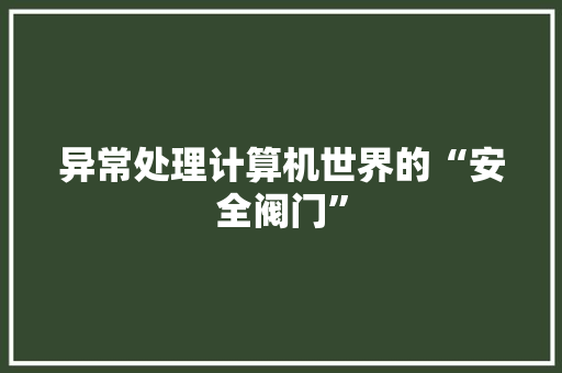 异常处理计算机世界的“安全阀门”