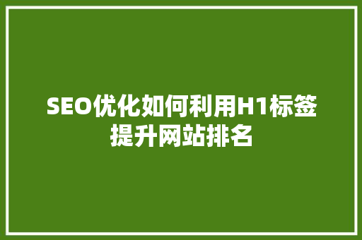 SEO优化如何利用H1标签提升网站排名