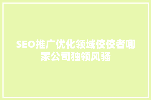 SEO推广优化领域佼佼者哪家公司独领风骚