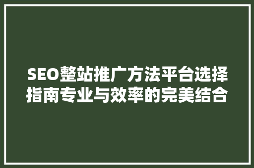 SEO整站推广方法平台选择指南专业与效率的完美结合