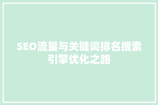 SEO流量与关键词排名搜索引擎优化之路