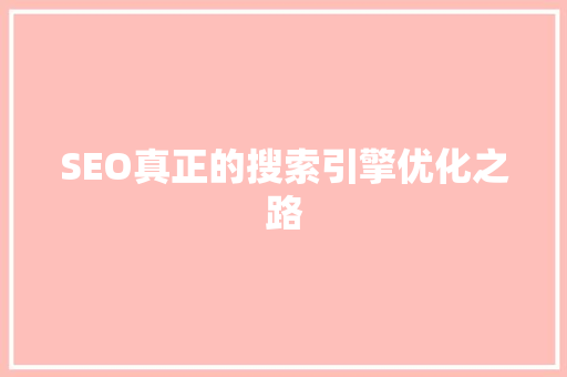 SEO真正的搜索引擎优化之路