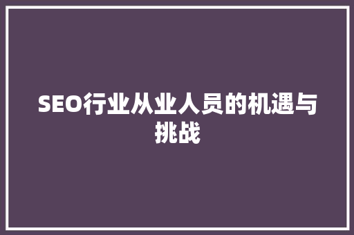 SEO行业从业人员的机遇与挑战