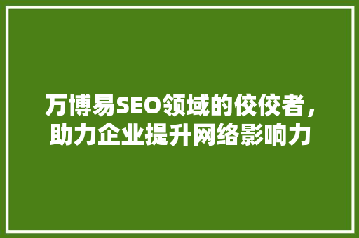 万博易SEO领域的佼佼者，助力企业提升网络影响力