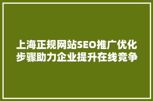 上海正规网站SEO推广优化步骤助力企业提升在线竞争力