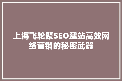 上海飞轮聚SEO建站高效网络营销的秘密武器  第1张