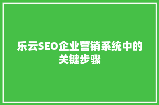 乐云SEO企业营销系统中的关键步骤