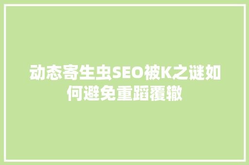 动态寄生虫SEO被K之谜如何避免重蹈覆辙  第1张