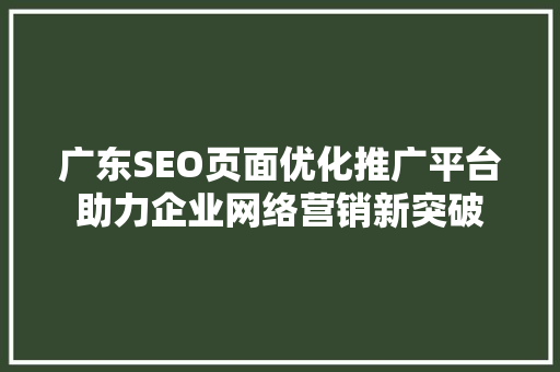 广东SEO页面优化推广平台助力企业网络营销新突破
