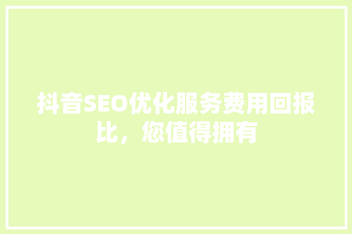 抖音SEO优化服务费用回报比，您值得拥有