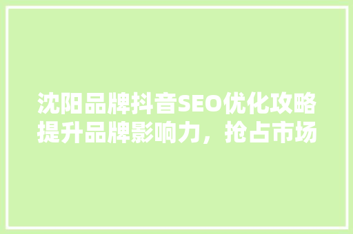 沈阳品牌抖音SEO优化攻略提升品牌影响力，抢占市场先机  第1张