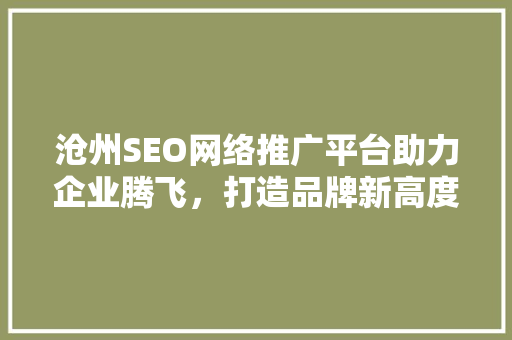 沧州SEO网络推广平台助力企业腾飞，打造品牌新高度