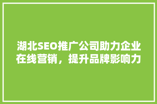 湖北SEO推广公司助力企业在线营销，提升品牌影响力