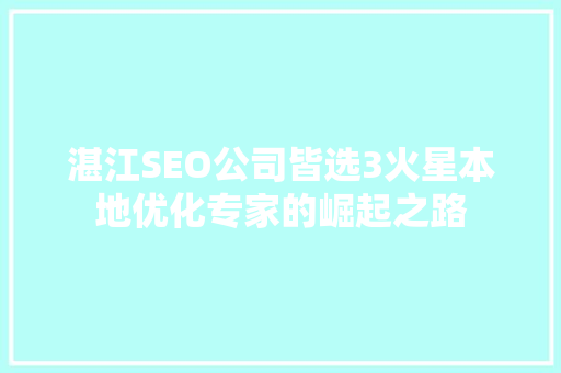 湛江SEO公司皆选3火星本地优化专家的崛起之路
