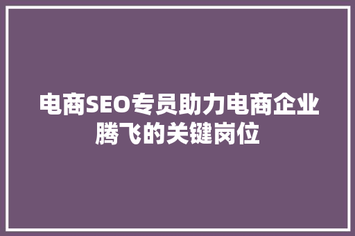 电商SEO专员助力电商企业腾飞的关键岗位  第1张