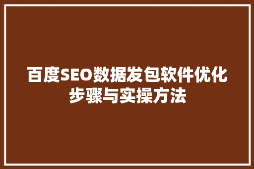 百度SEO数据发包软件优化步骤与实操方法