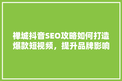 禅城抖音SEO攻略如何打造爆款短视频，提升品牌影响力