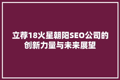 立荐18火星朝阳SEO公司的创新力量与未来展望