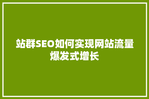 站群SEO如何实现网站流量爆发式增长  第1张