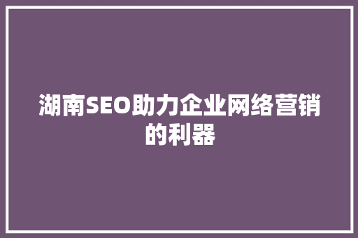 湖南SEO助力企业网络营销的利器  第1张