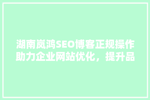 湖南岚鸿SEO博客正规操作助力企业网站优化，提升品牌影响力