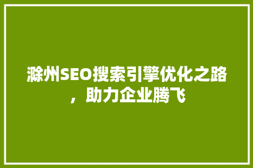 滁州SEO搜索引擎优化之路，助力企业腾飞