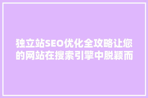 独立站SEO优化全攻略让您的网站在搜索引擎中脱颖而出