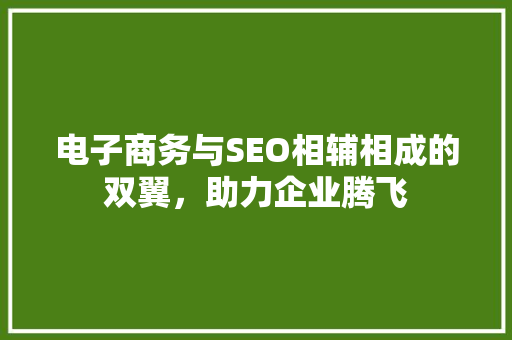 电子商务与SEO相辅相成的双翼，助力企业腾飞
