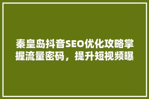 秦皇岛抖音SEO优化攻略掌握流量密码，提升短视频曝光度  第1张