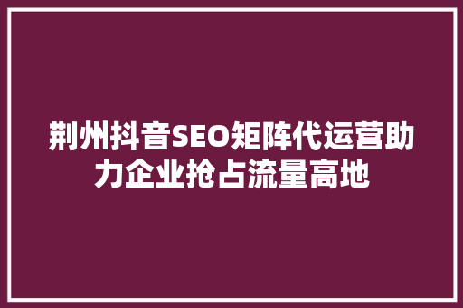 荆州抖音SEO矩阵代运营助力企业抢占流量高地