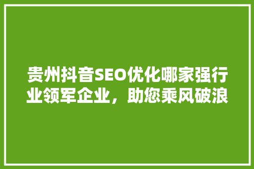 贵州抖音SEO优化哪家强行业领军企业，助您乘风破浪