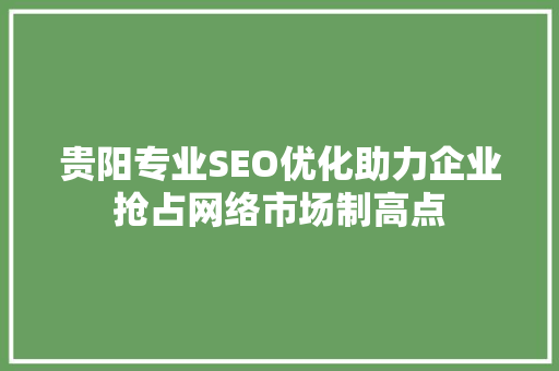 贵阳专业SEO优化助力企业抢占网络市场制高点  第1张