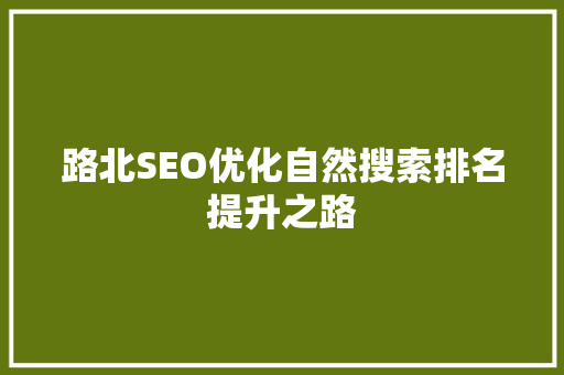 路北SEO优化自然搜索排名提升之路