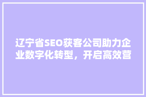 辽宁省SEO获客公司助力企业数字化转型，开启高效营销新篇章