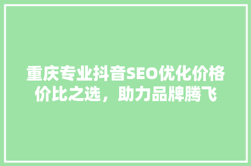 重庆专业抖音SEO优化价格价比之选，助力品牌腾飞