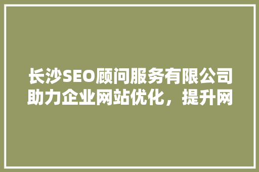 长沙SEO顾问服务有限公司助力企业网站优化，提升网络竞争力