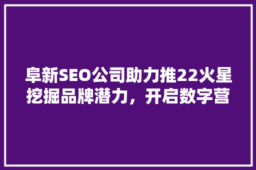 阜新SEO公司助力推22火星挖掘品牌潜力，开启数字营销新时代  第1张