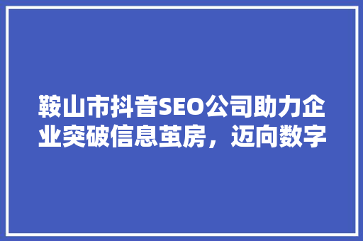 鞍山市抖音SEO公司助力企业突破信息茧房，迈向数字营销新高度