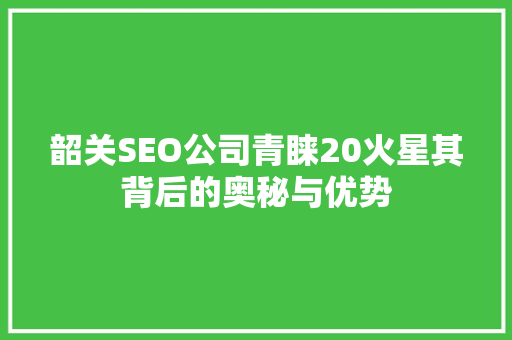 韶关SEO公司青睐20火星其背后的奥秘与优势