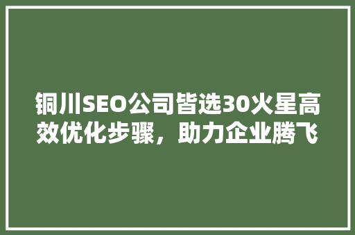 铜川SEO公司皆选30火星高效优化步骤，助力企业腾飞