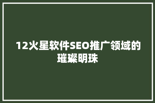 12火星软件SEO推广领域的璀璨明珠