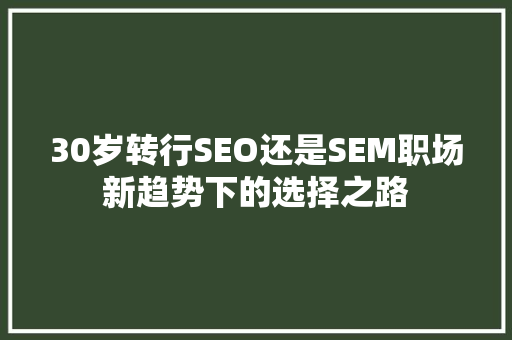 30岁转行SEO还是SEM职场新趋势下的选择之路